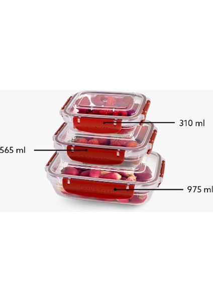 Master Seal Dikdörtgen Saklama Kabı Seti 3 PARÇA(310,565,975 Ml)