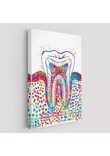 Renkli Diş, Diş Hekimi Duvar TABLOSU-6300