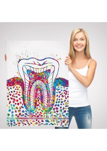 Renkli Diş, Diş Hekimi Duvar TABLOSU-6300 modelleri