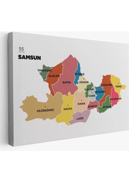 Samsun Ili ve Ilçeler Haritası Dekoratif Kanvas Tablo 1446