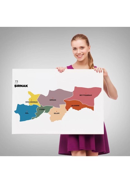 Şırnak Ili ve Ilçeler Haritası Dekoratif Kanvas Tablo 1461 modelleri