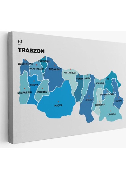 Trabzon Ili ve Ilçeler Haritası Dekoratif Kanvas Tablo 1471