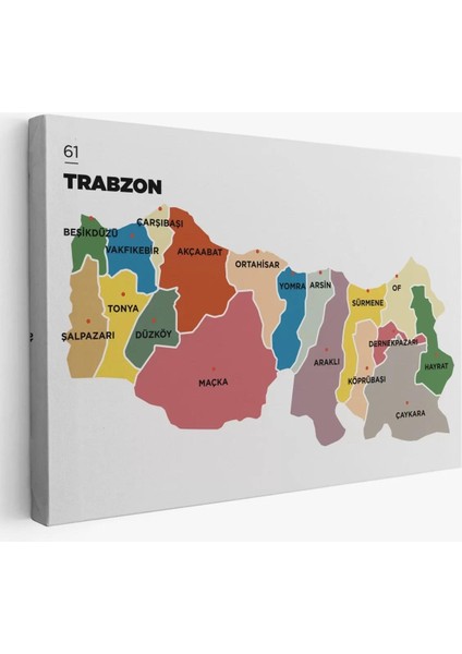 Trabzon Ili ve Ilçeler Haritası Dekoratif Kanvas Tablo 1470