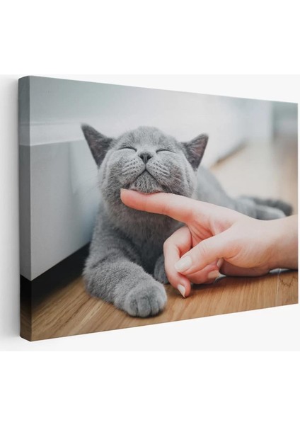 Sevimli Kedi Dekoratif Kanvas TABLO-6505