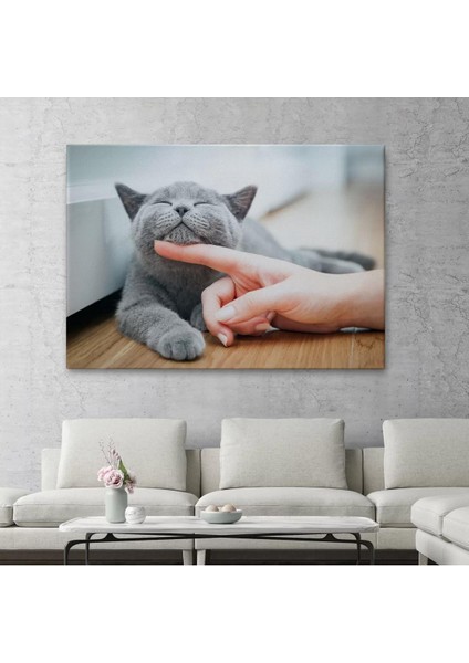 Sevimli Kedi Dekoratif Kanvas TABLO-6505 fiyatları