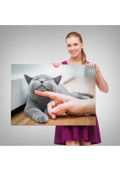 Sevimli Kedi Dekoratif Kanvas TABLO-6505 modelleri