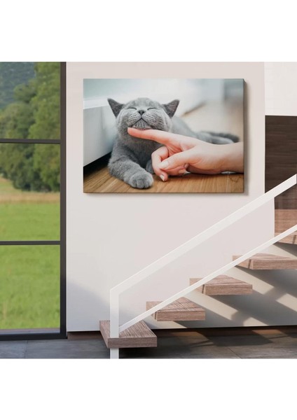 Sevimli Kedi Dekoratif Kanvas TABLO-6505 fırsatları