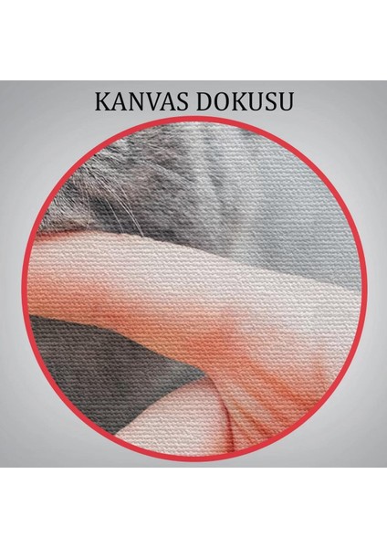 Sevimli Kedi Dekoratif Kanvas TABLO-6505 indirimleri