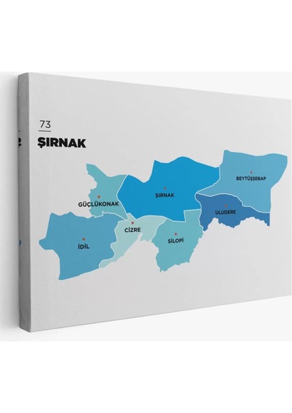Şırnak Ili ve Ilçeler Haritası Dekoratif Kanvas Tablo 1462