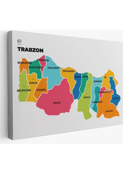 Trabzon Ili ve Ilçeler Haritası Dekoratif Kanvas Tablo 1469