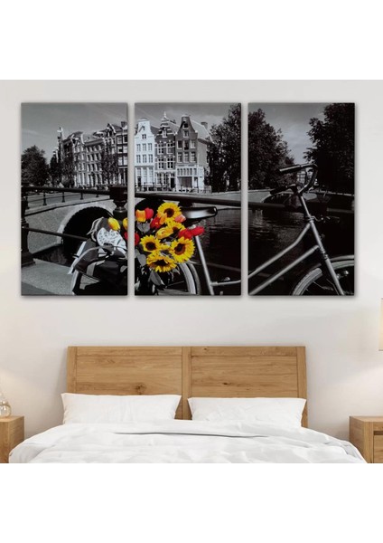 Amsterdam Kanallarındaki Bisiklet ve Laleler TABLOSU-6594 modelleri