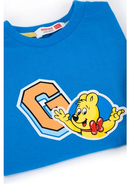 Erkek Çocuk Penye Şortlu Takım modelleri