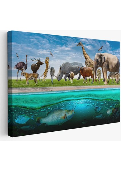 Hayvanlar Alemi Dekoratif Kanvas Tablo 1177
