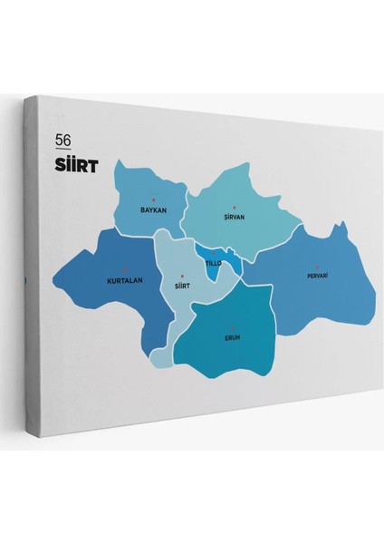 Siirt Ili ve Ilçeler Haritası Dekoratif Kanvas Tablo 1450