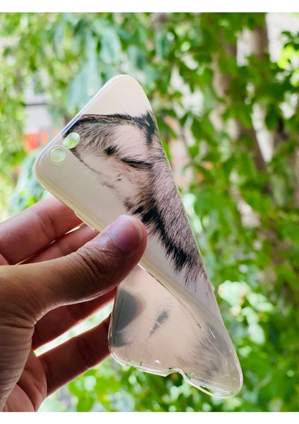 iPhone 6 / 6s Uyumlu Kılıf Kurt Desenli Baskılı Silikon modelleri