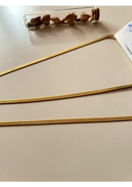 Gold Renk 45 cm Italyan Zincir Paslanmaz Çelik Kolye ve Ayarlanabilir Bileklik Seti