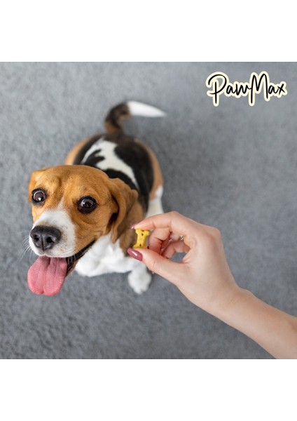 Cookie Pumpkin - Balkabaklı & Muzlu Köpek Ödül Maması
