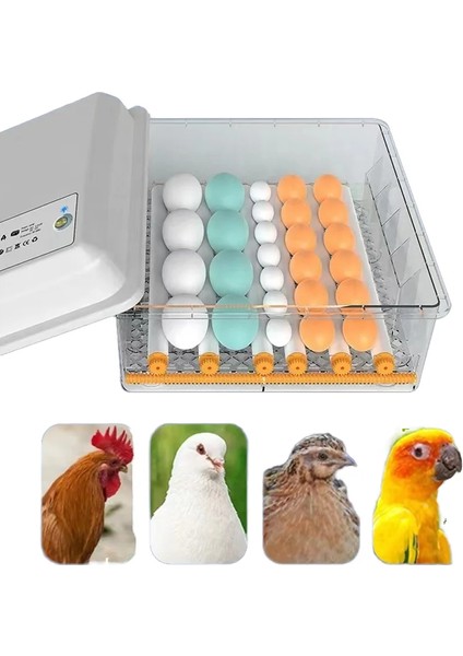 15 Tavuk Yumurta Kuluçka Makinesi modelleri