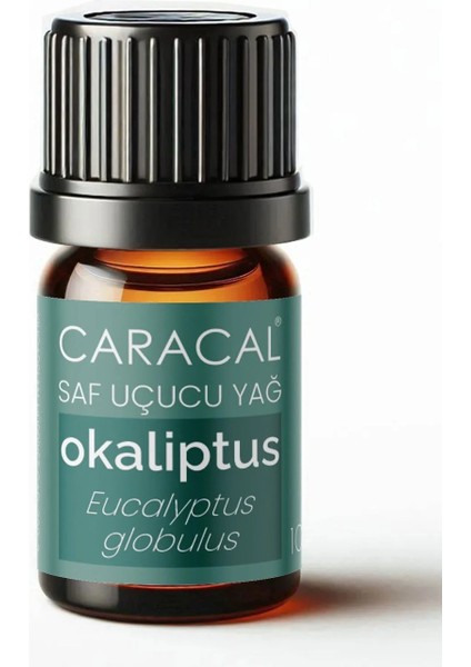 Doğal Okaliptus Yağı 5ml %100 Saf Uçucu Yağ