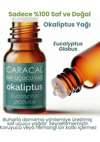 Doğal Okaliptus Yağı 5ml %100 Saf Uçucu Yağ fiyatları