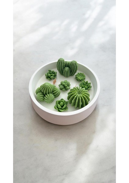 Renkli Beton Kapta Kokulu Dekoratif Mum ve Kaktüs Tabağı fiyatları