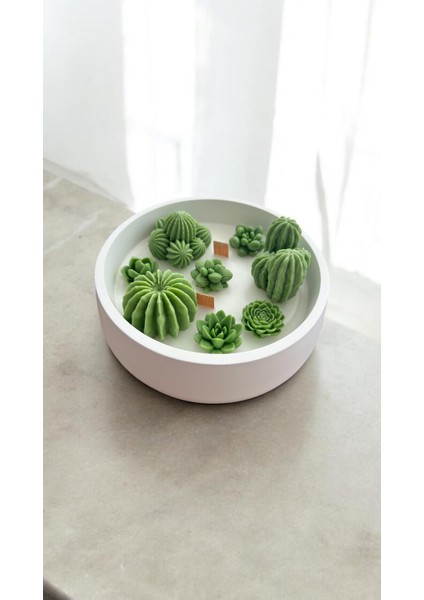 Renkli Beton Kapta Kokulu Dekoratif Mum ve Kaktüs Tabağı modelleri