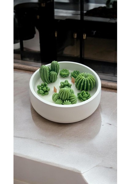 Renkli Beton Kapta Kokulu Dekoratif Mum ve Kaktüs Tabağı fırsatları