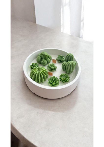 Renkli Beton Kapta Kokulu Dekoratif Mum ve Kaktüs Tabağı indirimleri