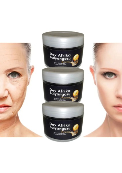 Das Dev Arfrika Salyangozu Yara Iltihap Karşıtı Krem 100 ml x 3 Adet