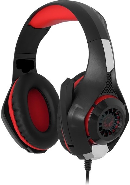 Raıder Gaming Oyuncu Kulaklık fırsatları