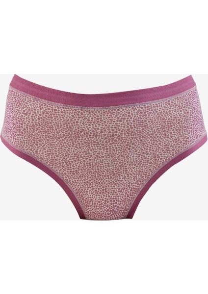 Çok Renkli Kadın Külot 3lü 3363 Cot Colorday fiyatları