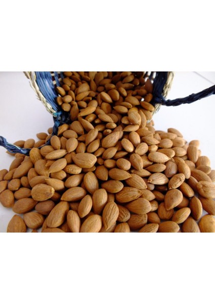 İslimli Kayısı Çekirdeği 1 kg modelleri