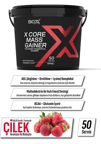 Bioxlab X-Core Mass Gainer Çilek Aromalı 5000 gr 50 Servis Karbonhidrat Tozu - Gainer - Hacim