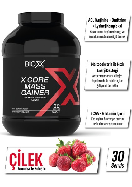 Bioxlab X-Core Mass Gainer Çilek Aromalı 3000 gr 30 Servis Karbonhidrat Tozu - Gainer - Hacim