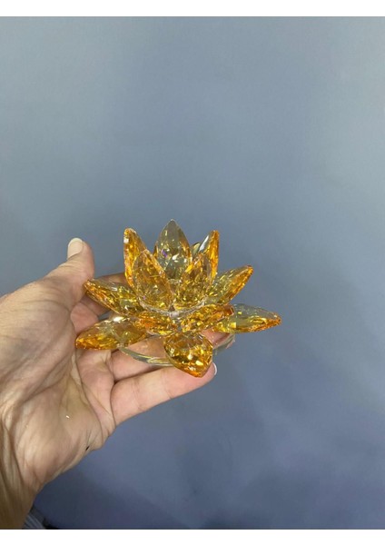 Şeffaf Cam Lotus Dekoratif Mumluk Orta 12X12X6CM