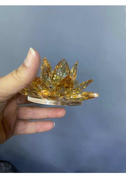 Şeffaf Cam Lotus Dekoratif Mumluk Orta 12X12X6CM fırsatları