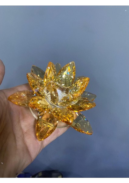 Şeffaf Cam Lotus Dekoratif Mumluk Orta 12X12X6CM