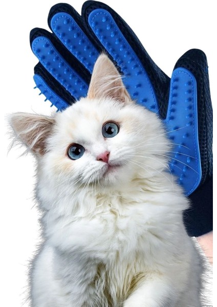 Evcil Hayvan Tüy Toplama Eldiveni, Pratik ve Etkili Tüy Temizleme Araçları modelleri