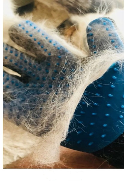 Evcil Hayvan Tüy Toplama Eldiveni, Pratik ve Etkili Tüy Temizleme Araçları fırsatları