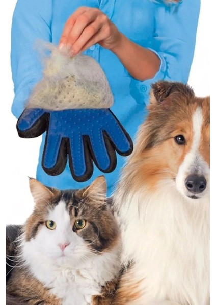 Evcil Hayvan Tüy Toplama Eldiveni, Pratik ve Etkili Tüy Temizleme Araçları