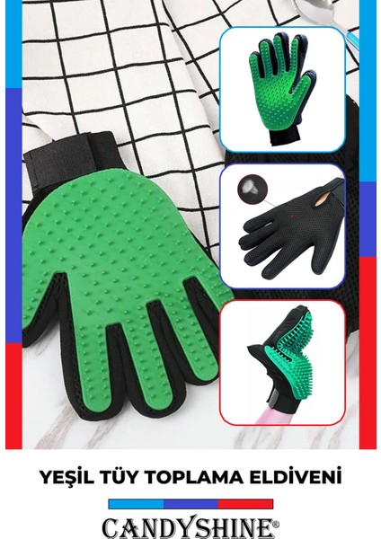 Yeşil Evcil Hayvan Tüy Toplayıcı ve Masaj Eldiveni, Tarama ve Bakım Aracı