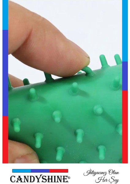 Yeşil Evcil Hayvan Tüy Toplayıcı ve Masaj Eldiveni, Tarama ve Bakım Aracı indirimleri