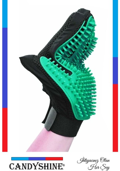 Yeşil Evcil Hayvan Tüy Toplayıcı ve Masaj Eldiveni, Tarama ve Bakım Aracı