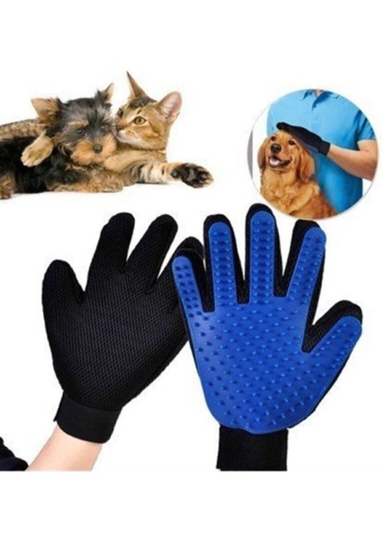Kedi ve Köpek Tüyleri Için Pratik Tüy Toplama ve Tarama Eldiveni