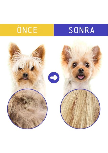 Kedi ve Köpek Tüy Toplama Seti, Tarak ve Eldiven, Temiz ve Bakımlı Evler Için indirimleri