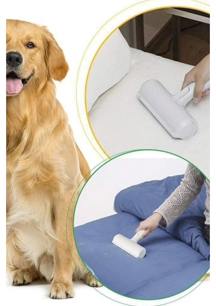 Kedi ve Köpekler Için Tüy Toplayıcı Eldiven ve Hazneli Gırgır Seti, Pratik Kullanım
