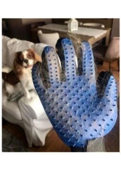 Çok Amaçlı Kedi Köpek Tüy Toplama ve Yıkama Eldiveni