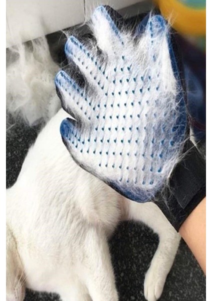 Pratik Kedi ve Köpek Tüy Toplama Seti, Fırça ve Tarak ile Temizlik Kolaylığı