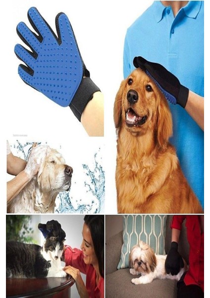 Pratik Kedi ve Köpek Tüy Toplama Seti, Fırça ve Tarak ile Temizlik Kolaylığı fırsatları