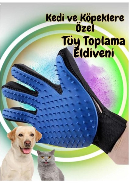 Evcil Hayvan Tüyleri Için Nazik ve Pratik Tüy Toplama Eldiveni